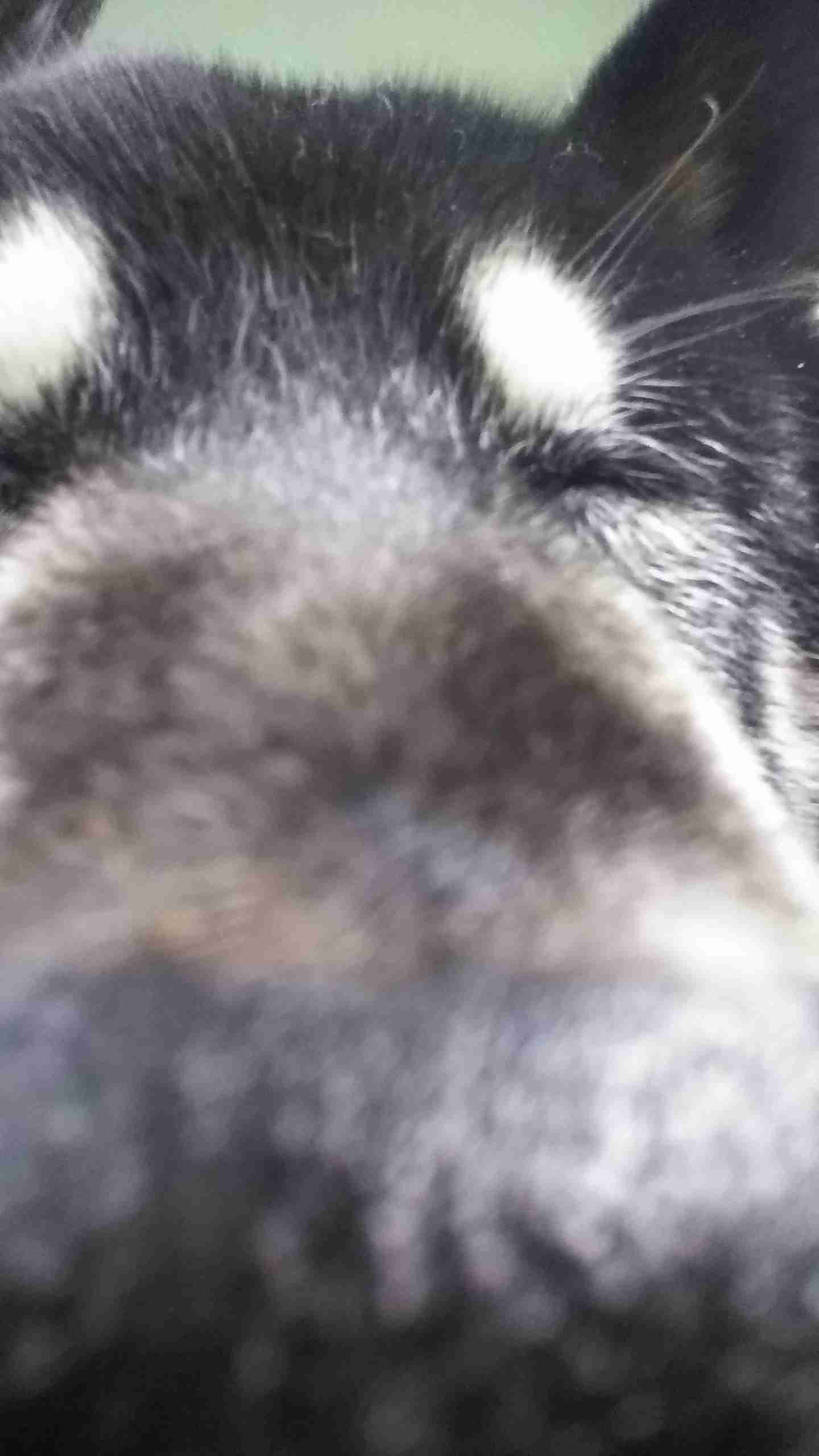 イケてない画像トピ
