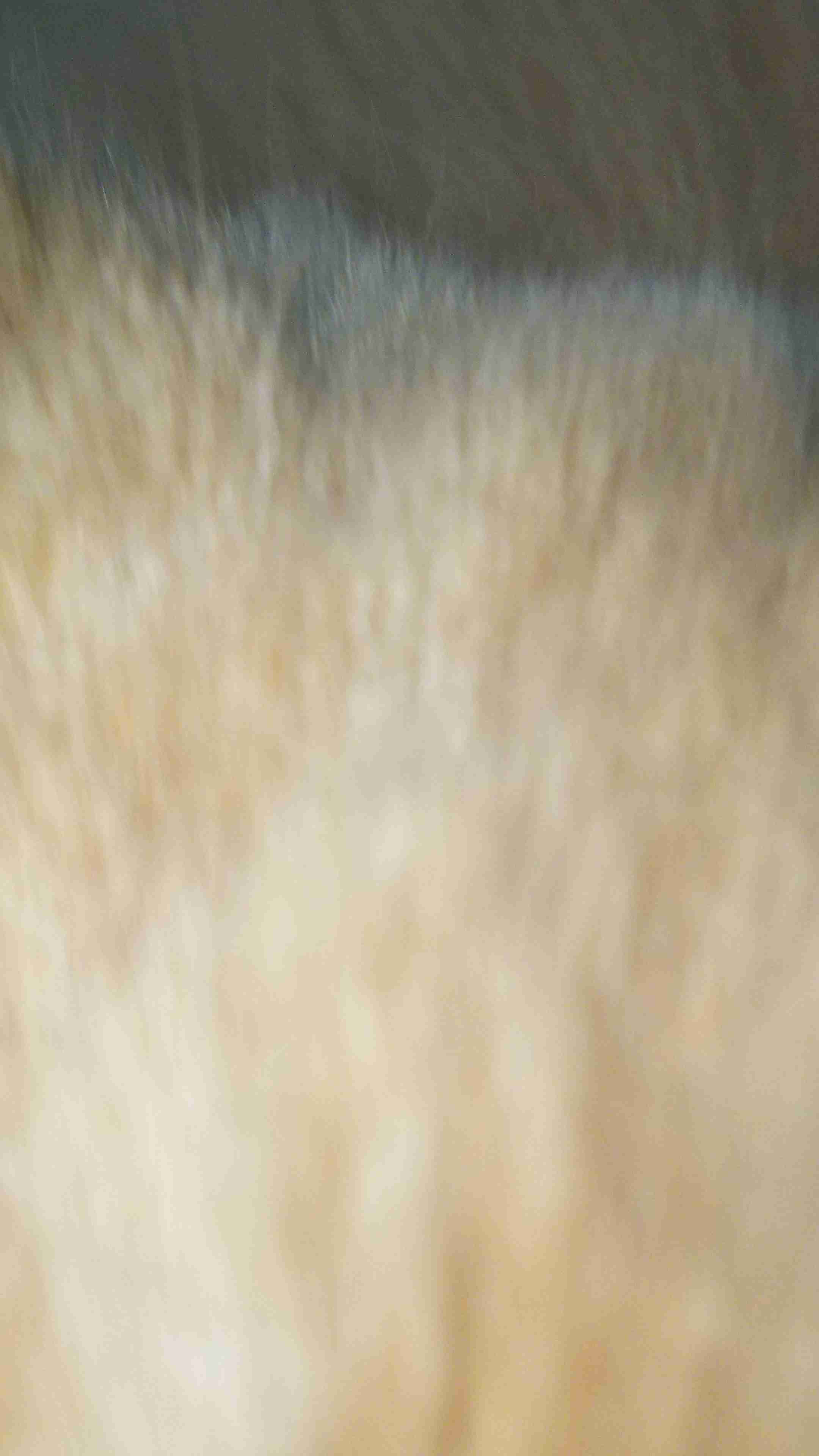 イケてない画像トピ