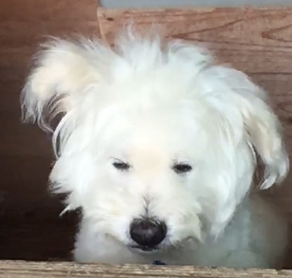 イケてない画像トピ