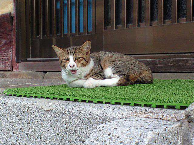 イケてない画像トピ