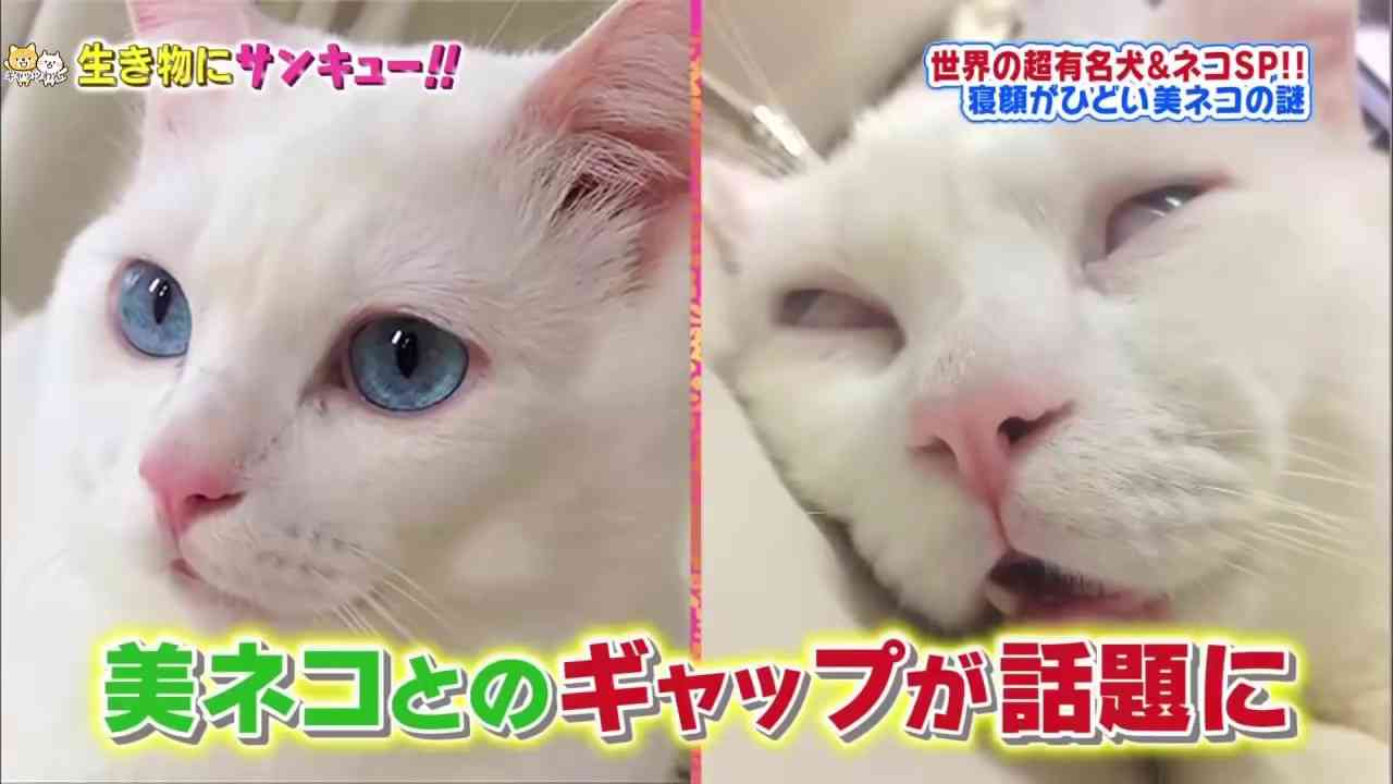 イケてない画像トピ