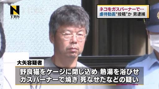 【化粧品】動物実験について