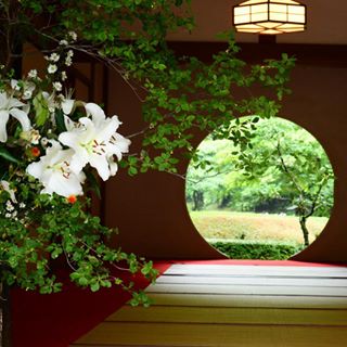 畳が好きな方、いろんな和室が見てみたい