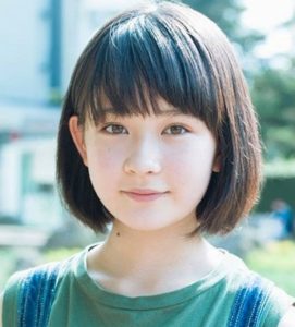 芸能人の整形アンケート調査【プラマイ】