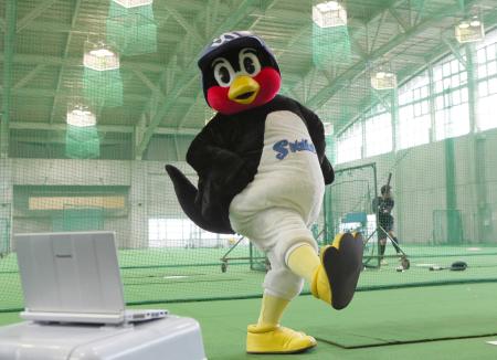 NEWSファン、つば九郎に「焼き鳥にされたいの??」 騒動イジられ怒りの炎