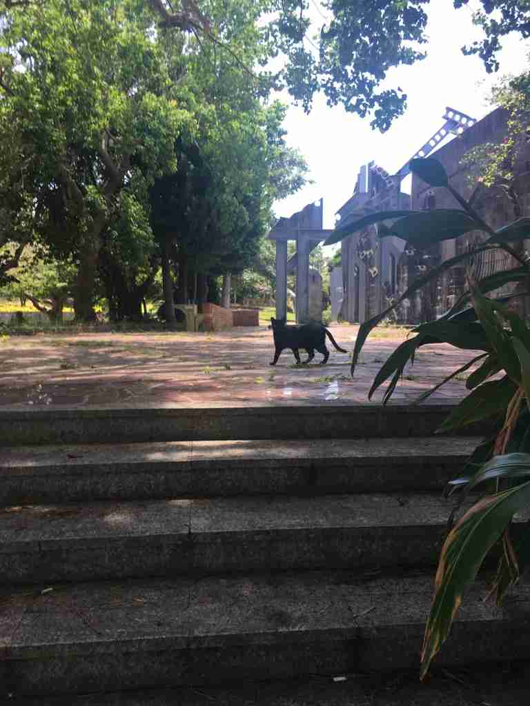 全国のガル民に会いたい！