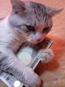 思いがけない大金が入って来た事がある人ー！part3