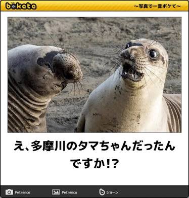転職したらこうしたいと思うこと