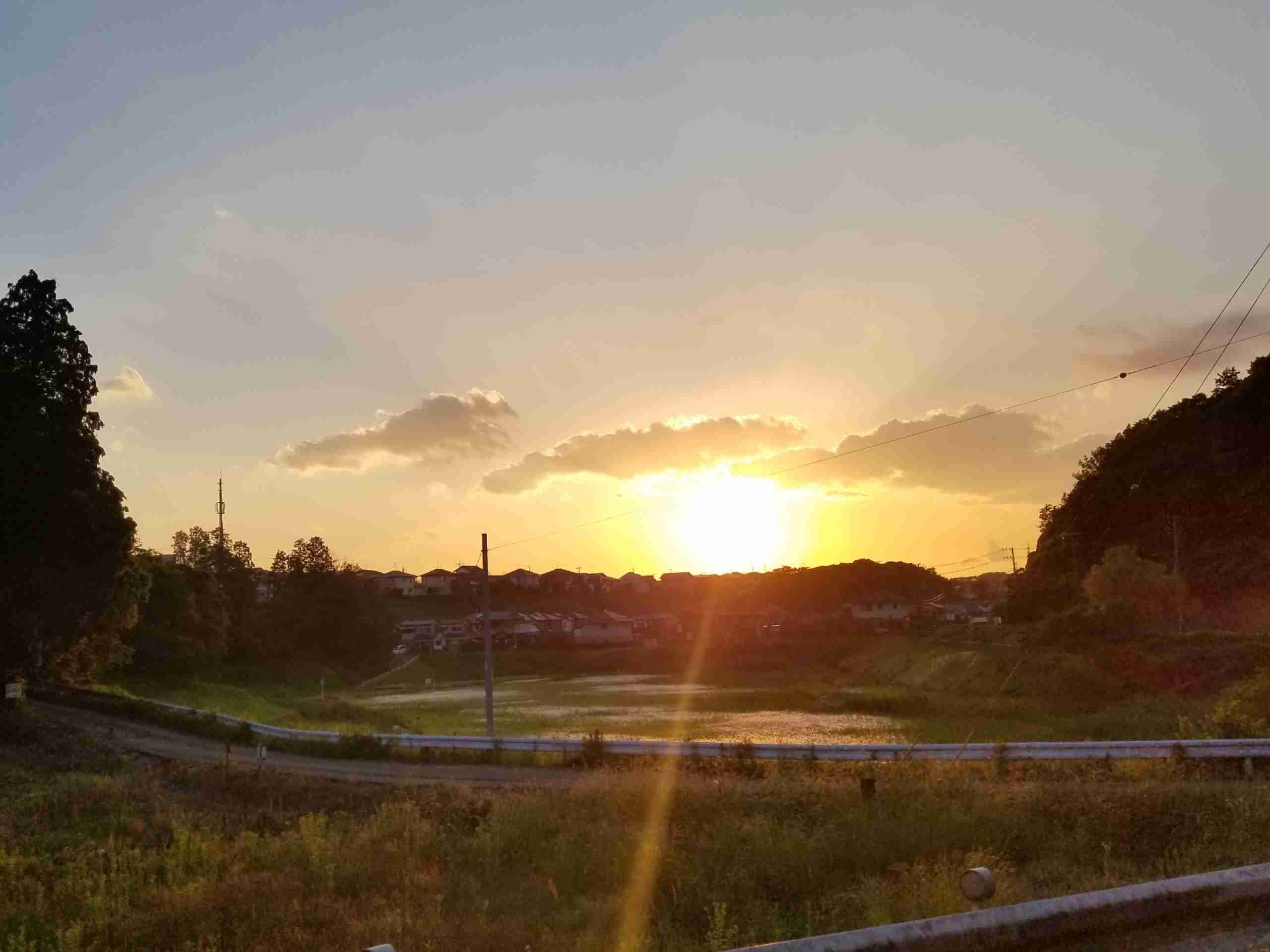 上手に撮れた!お気に入り写真を見せて下さい☆