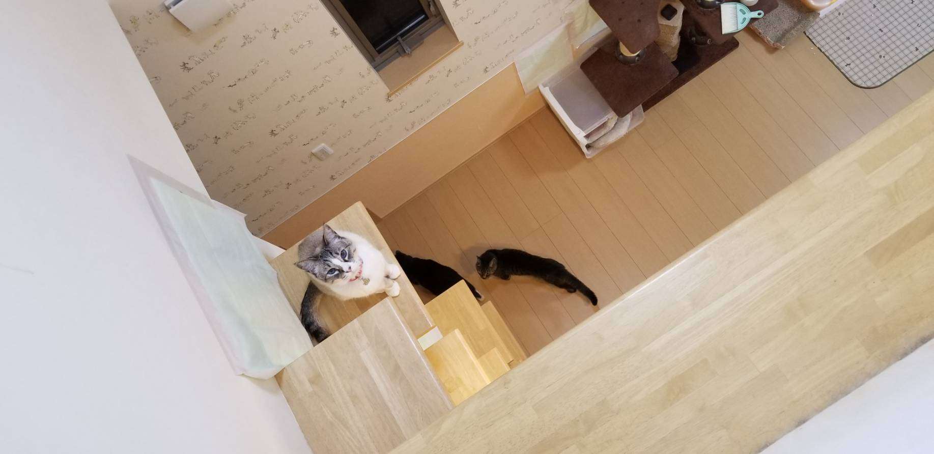 上手に撮れた!お気に入り写真を見せて下さい☆