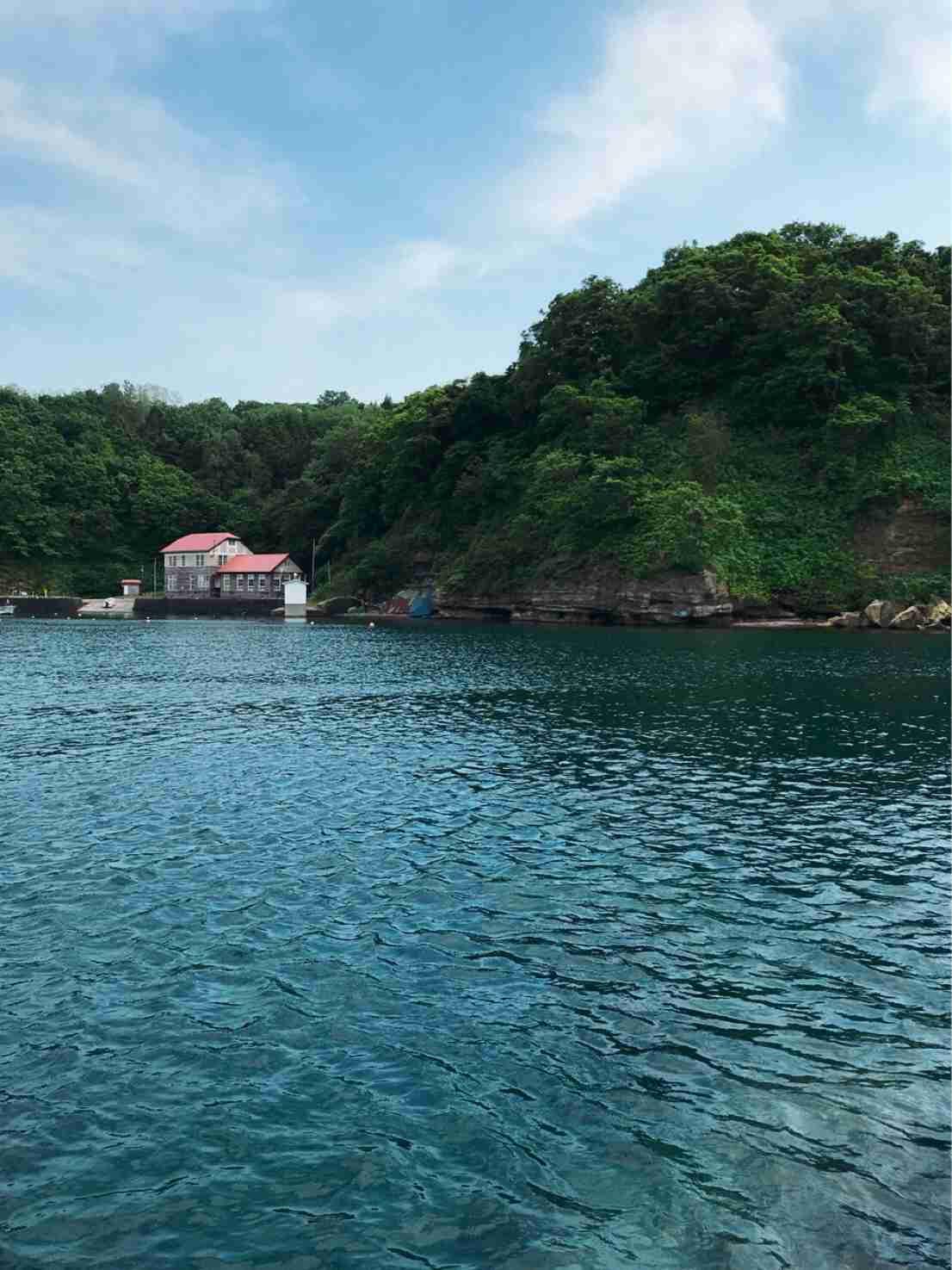 上手に撮れた!お気に入り写真を見せて下さい☆