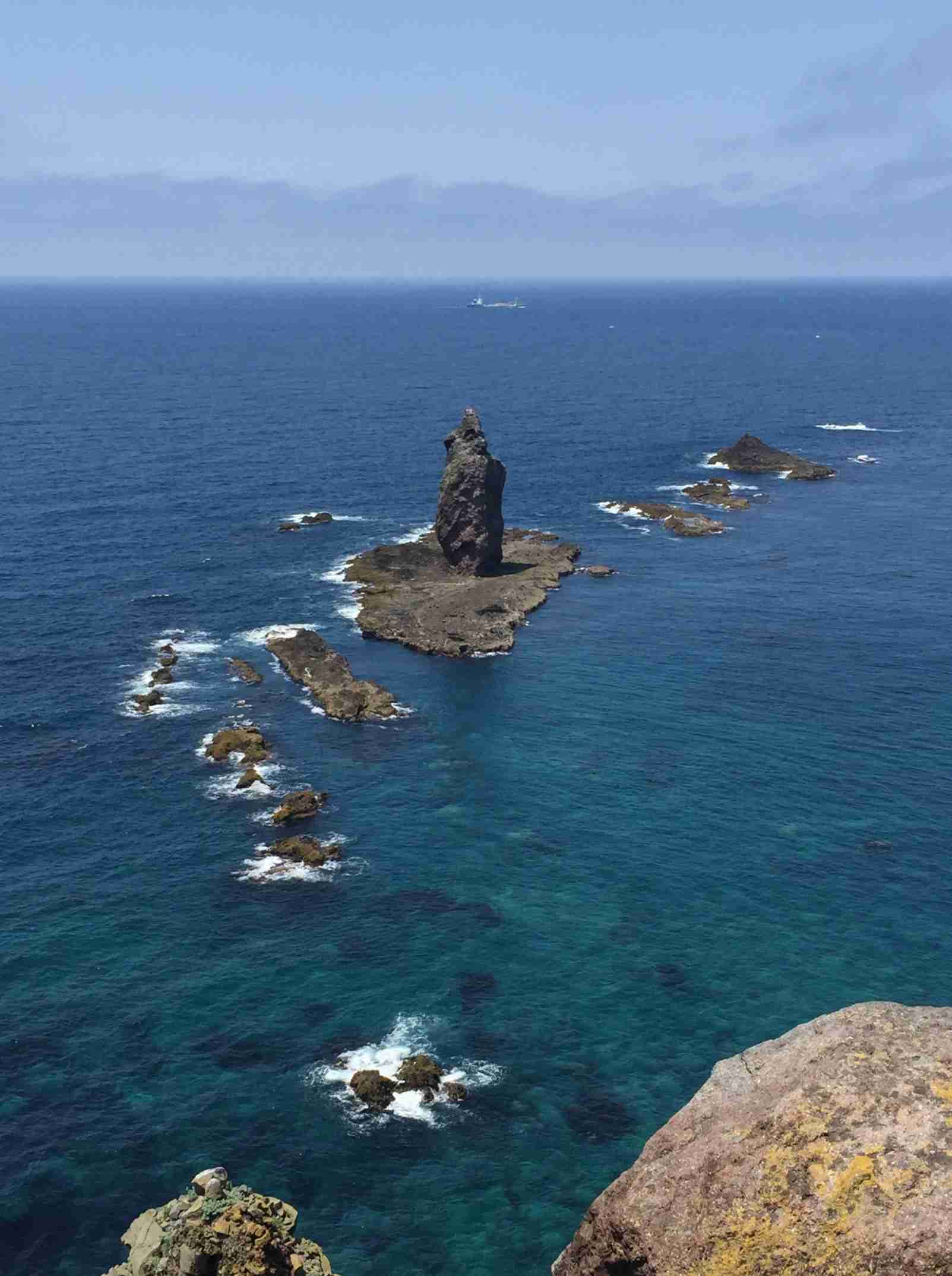 上手に撮れた!お気に入り写真を見せて下さい☆
