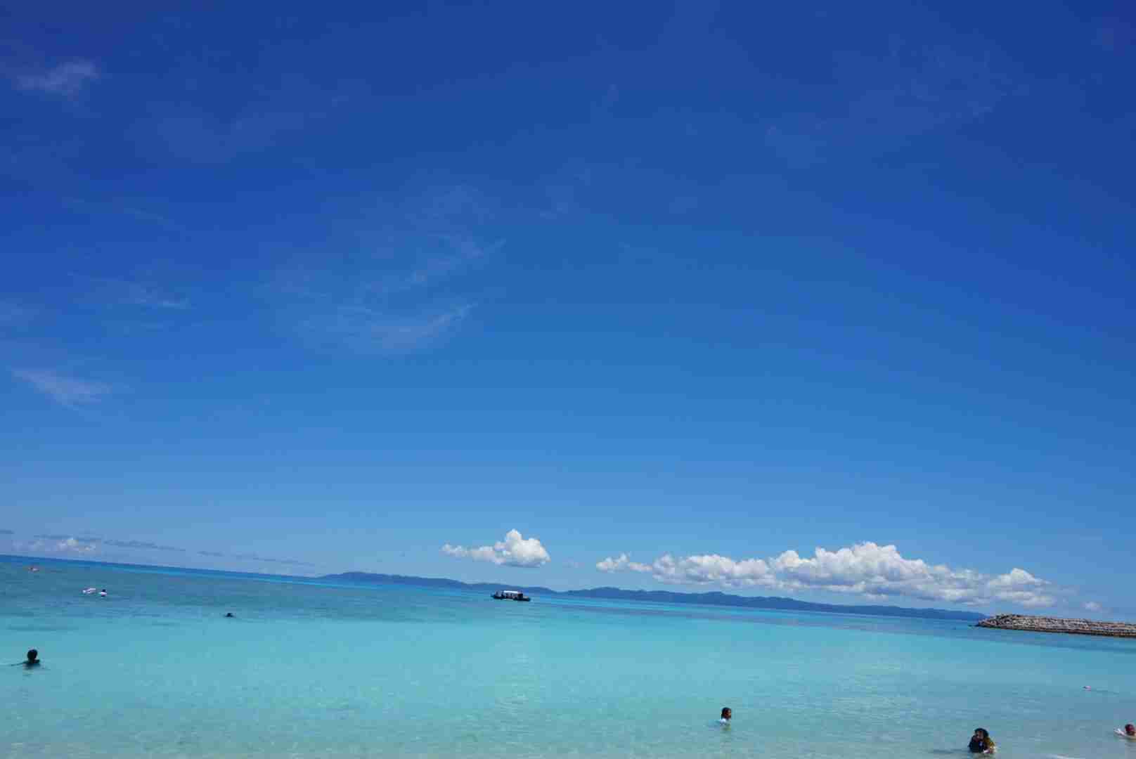 上手に撮れた!お気に入り写真を見せて下さい☆