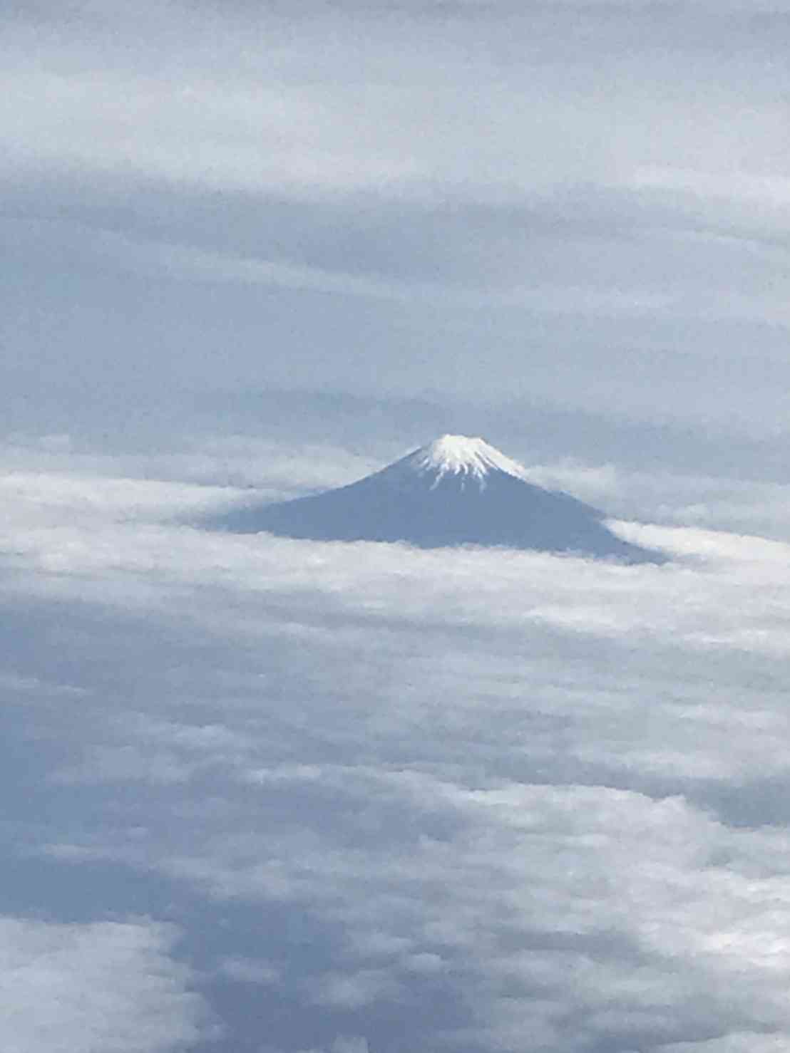 上手に撮れた!お気に入り写真を見せて下さい☆