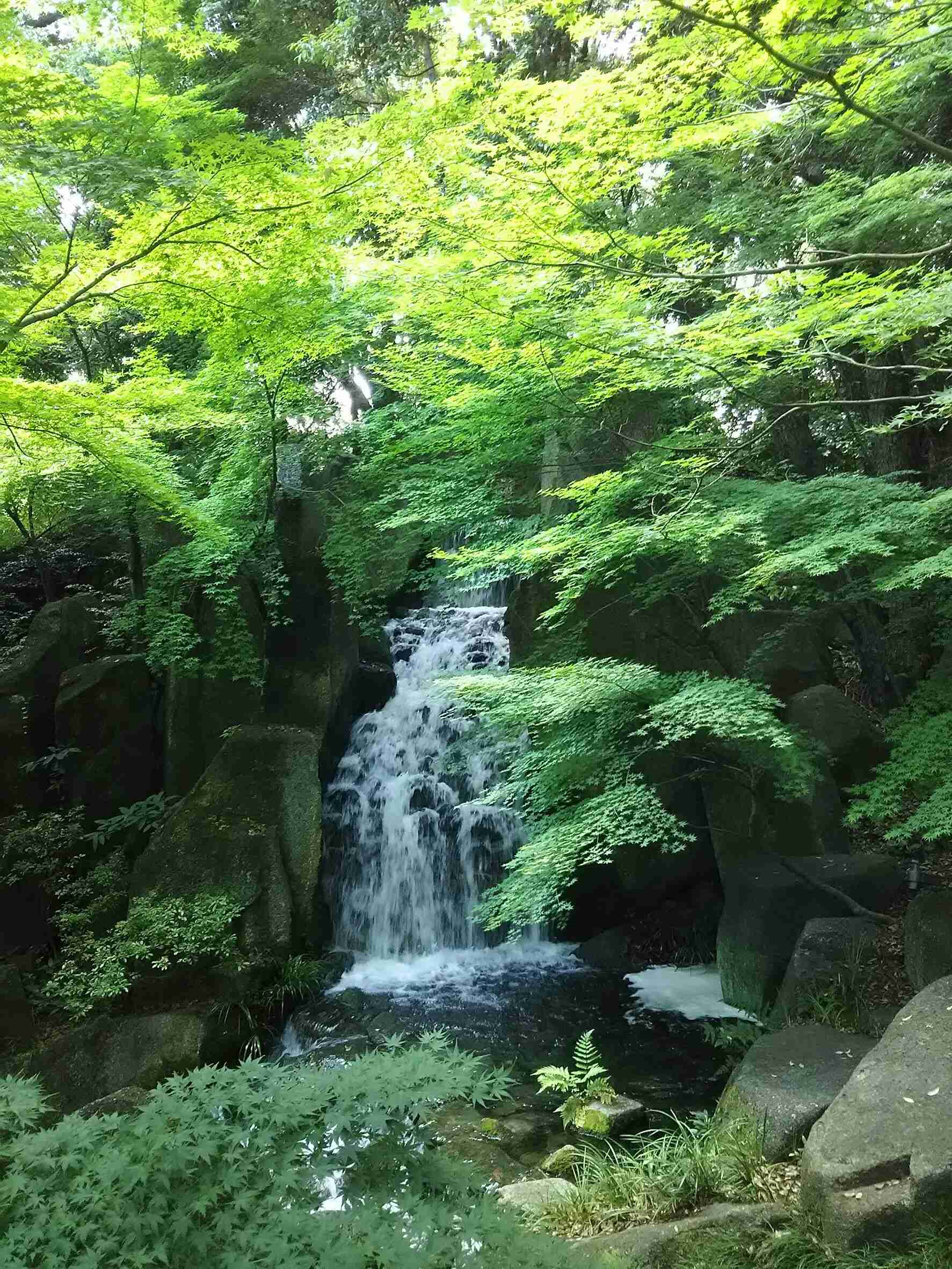 上手に撮れた!お気に入り写真を見せて下さい☆
