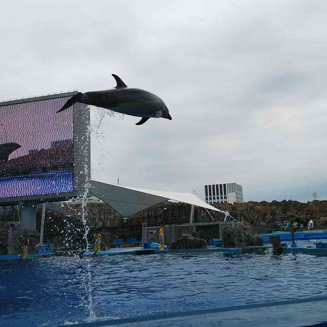 上手に撮れた!お気に入り写真を見せて下さい☆