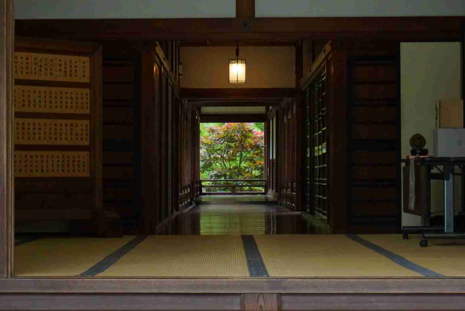 上手に撮れた!お気に入り写真を見せて下さい☆