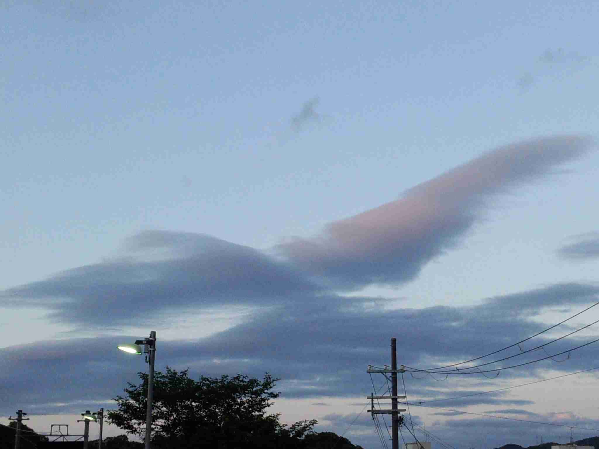 上手に撮れた!お気に入り写真を見せて下さい☆