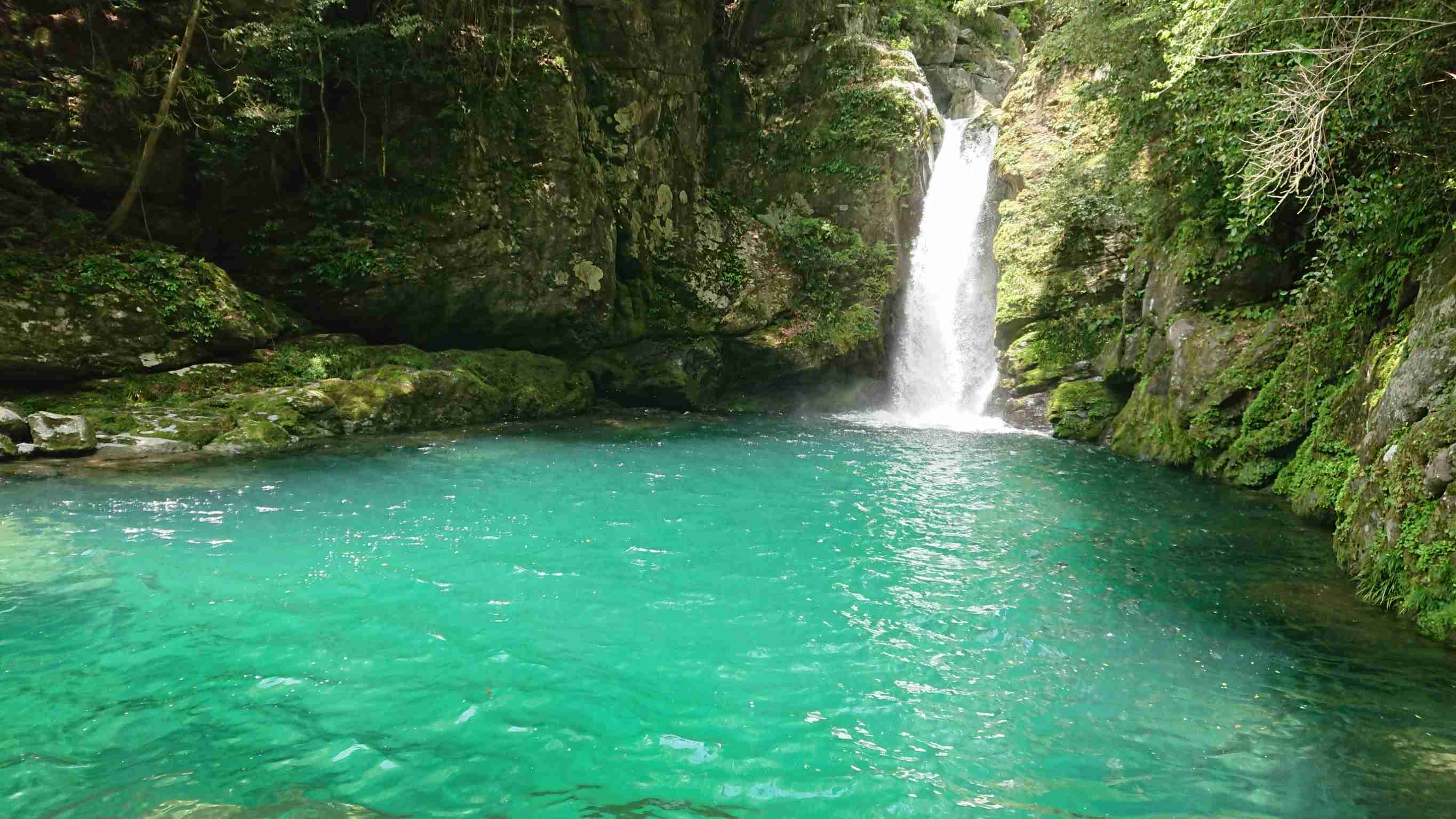 上手に撮れた!お気に入り写真を見せて下さい☆