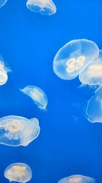 上手に撮れた!お気に入り写真を見せて下さい☆
