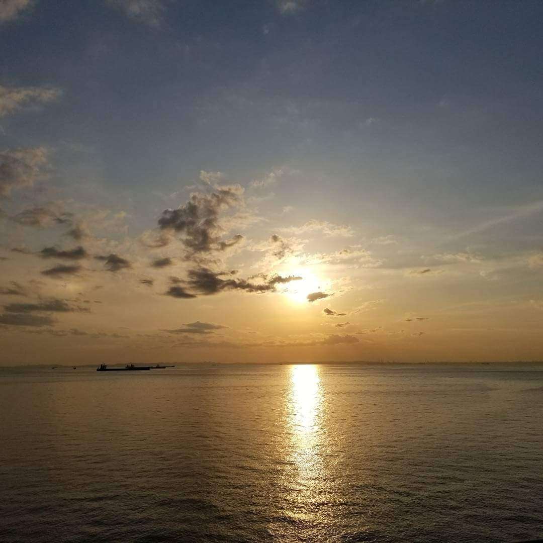 上手に撮れた!お気に入り写真を見せて下さい☆