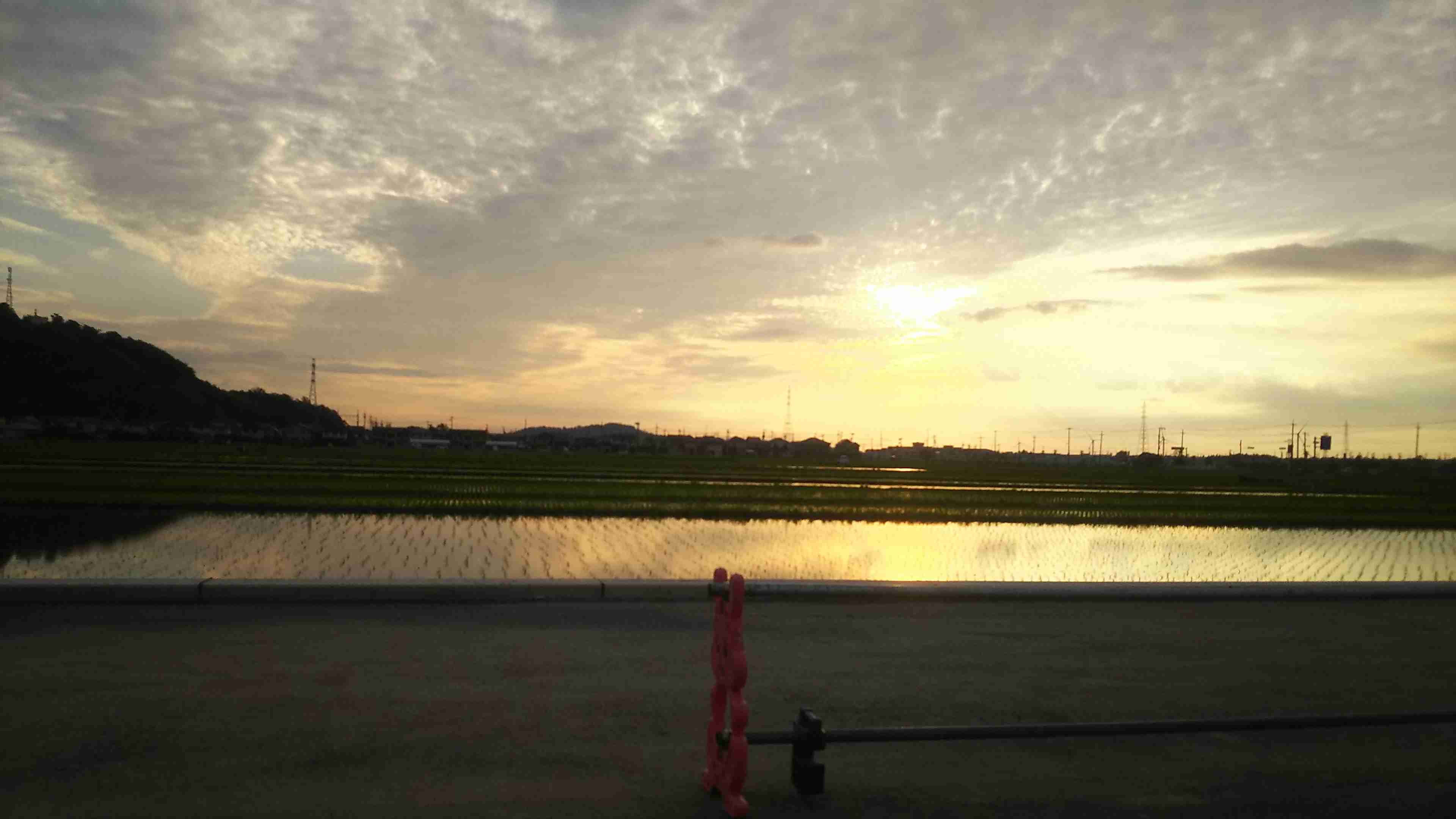 上手に撮れた!お気に入り写真を見せて下さい☆