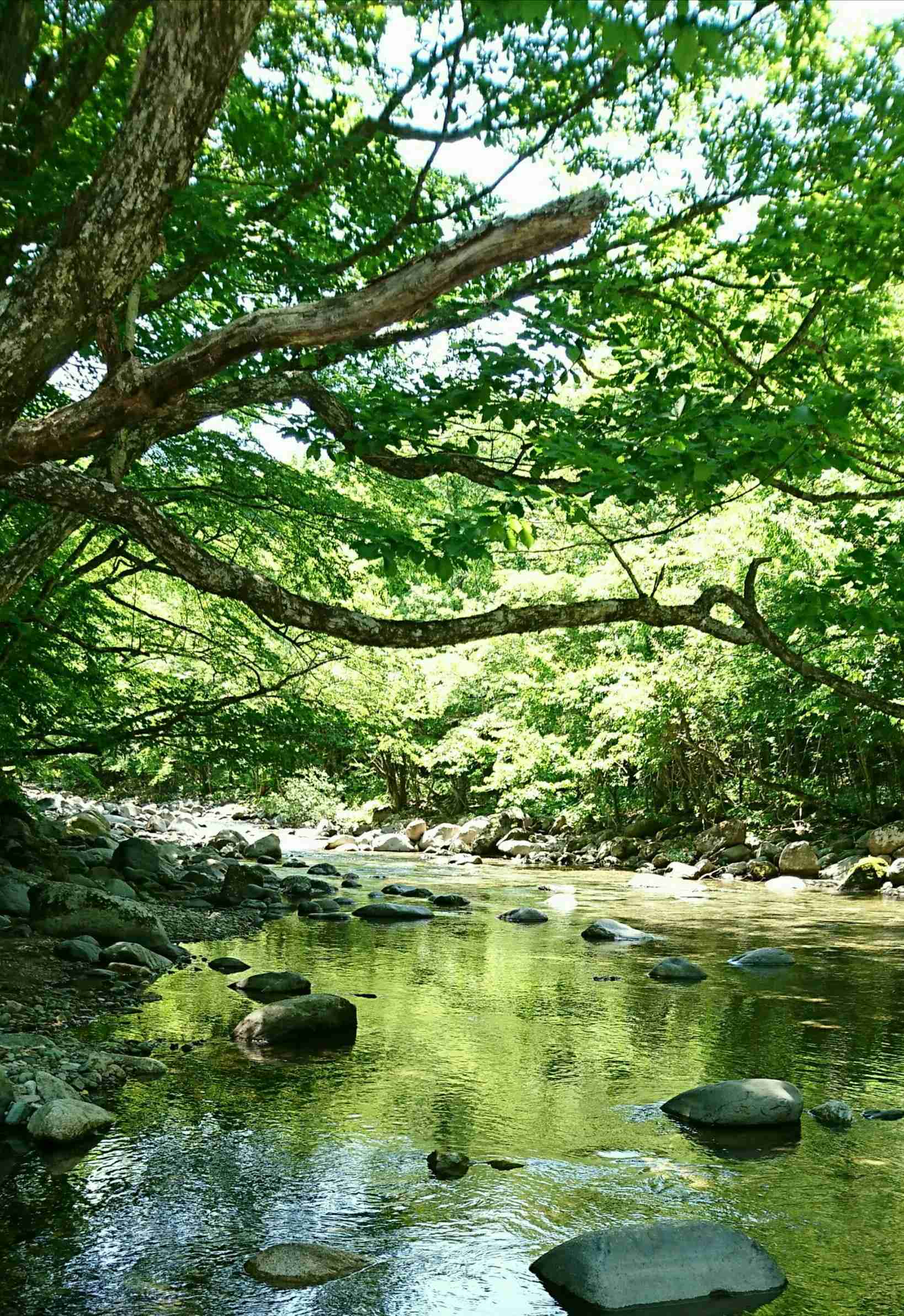 上手に撮れた!お気に入り写真を見せて下さい☆
