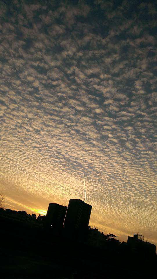 上手に撮れた!お気に入り写真を見せて下さい☆