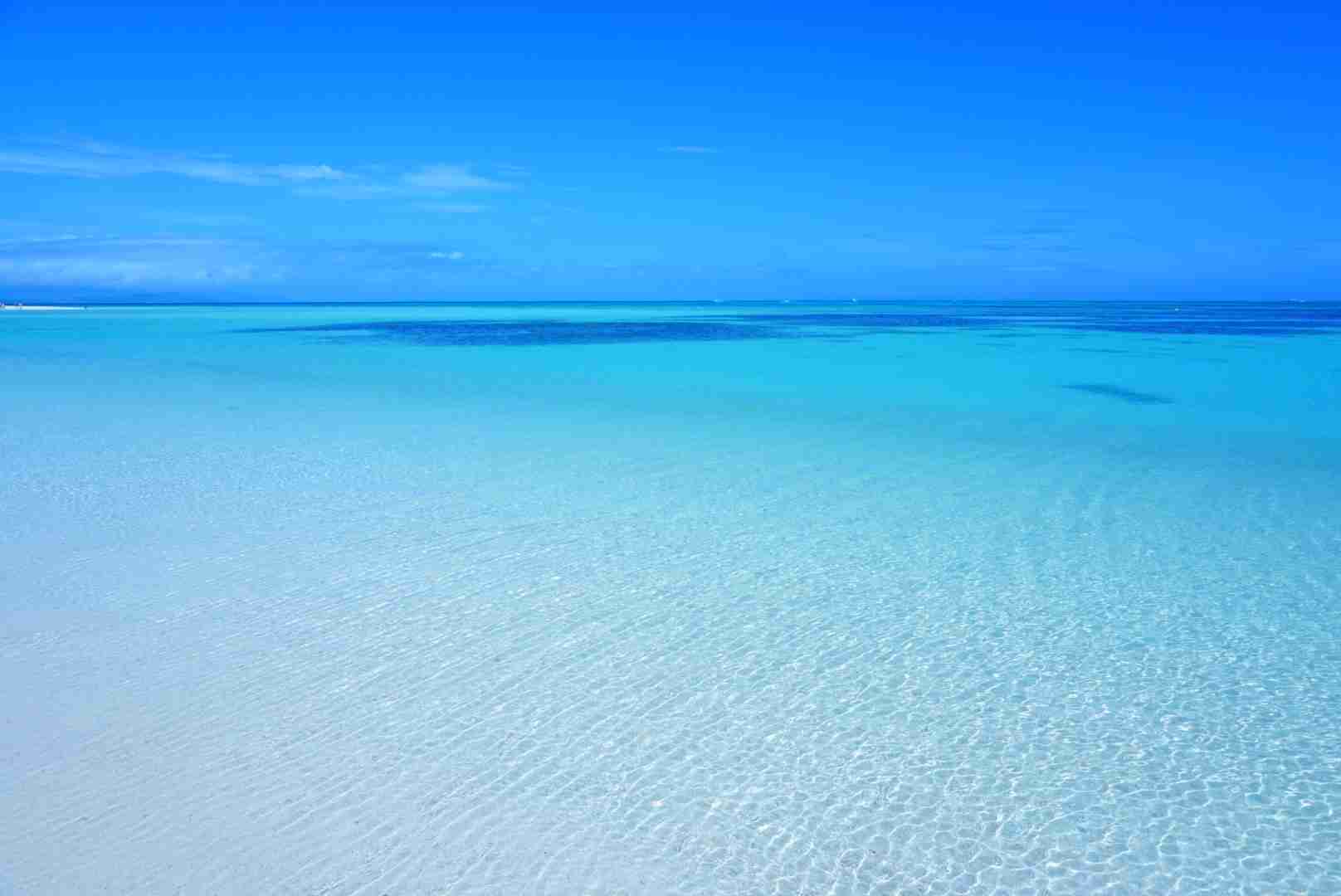 上手に撮れた!お気に入り写真を見せて下さい☆