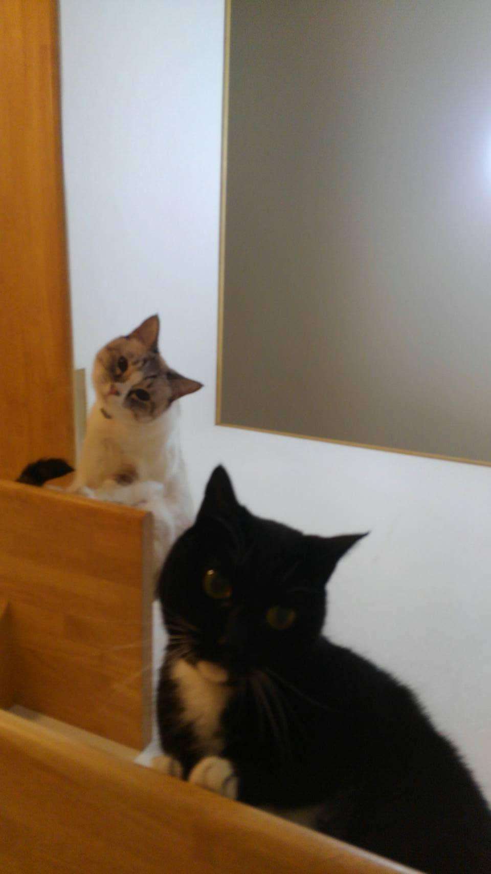 上手に撮れた!お気に入り写真を見せて下さい☆