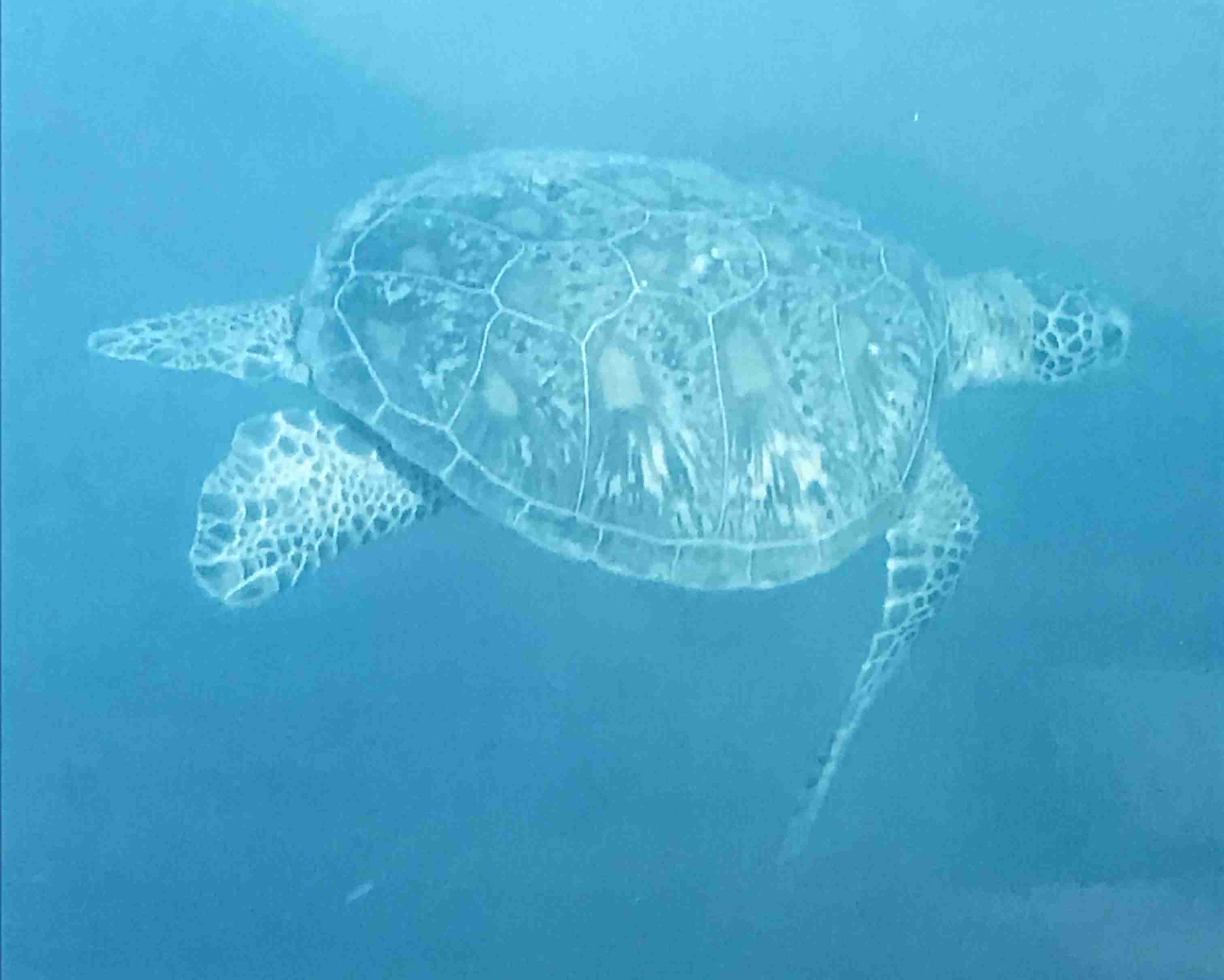 上手に撮れた!お気に入り写真を見せて下さい☆