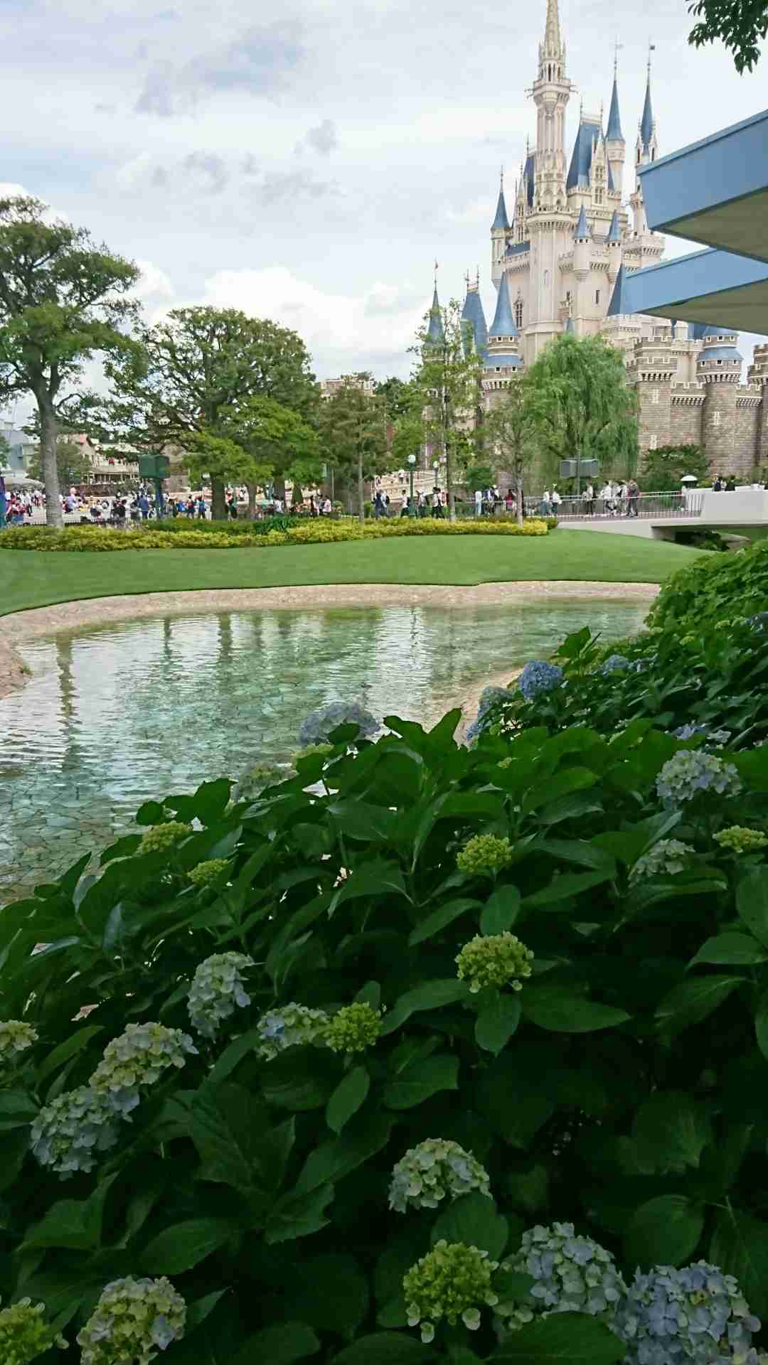 上手に撮れた!お気に入り写真を見せて下さい☆