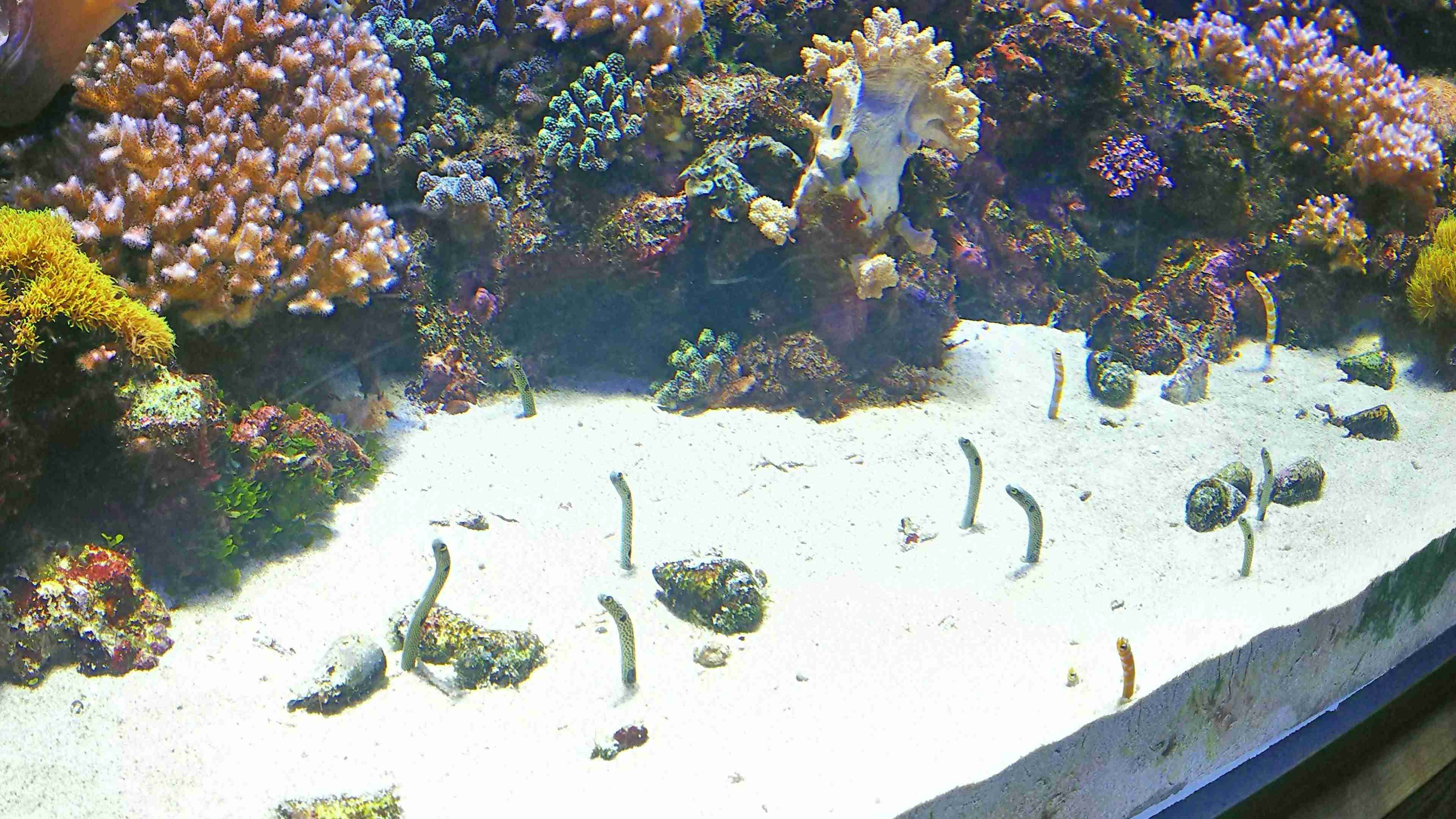 上手に撮れた!お気に入り写真を見せて下さい☆