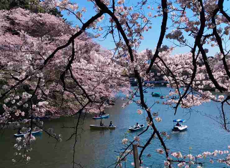 上手に撮れた!お気に入り写真を見せて下さい☆