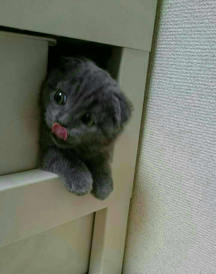 上手に撮れた!お気に入り写真を見せて下さい☆