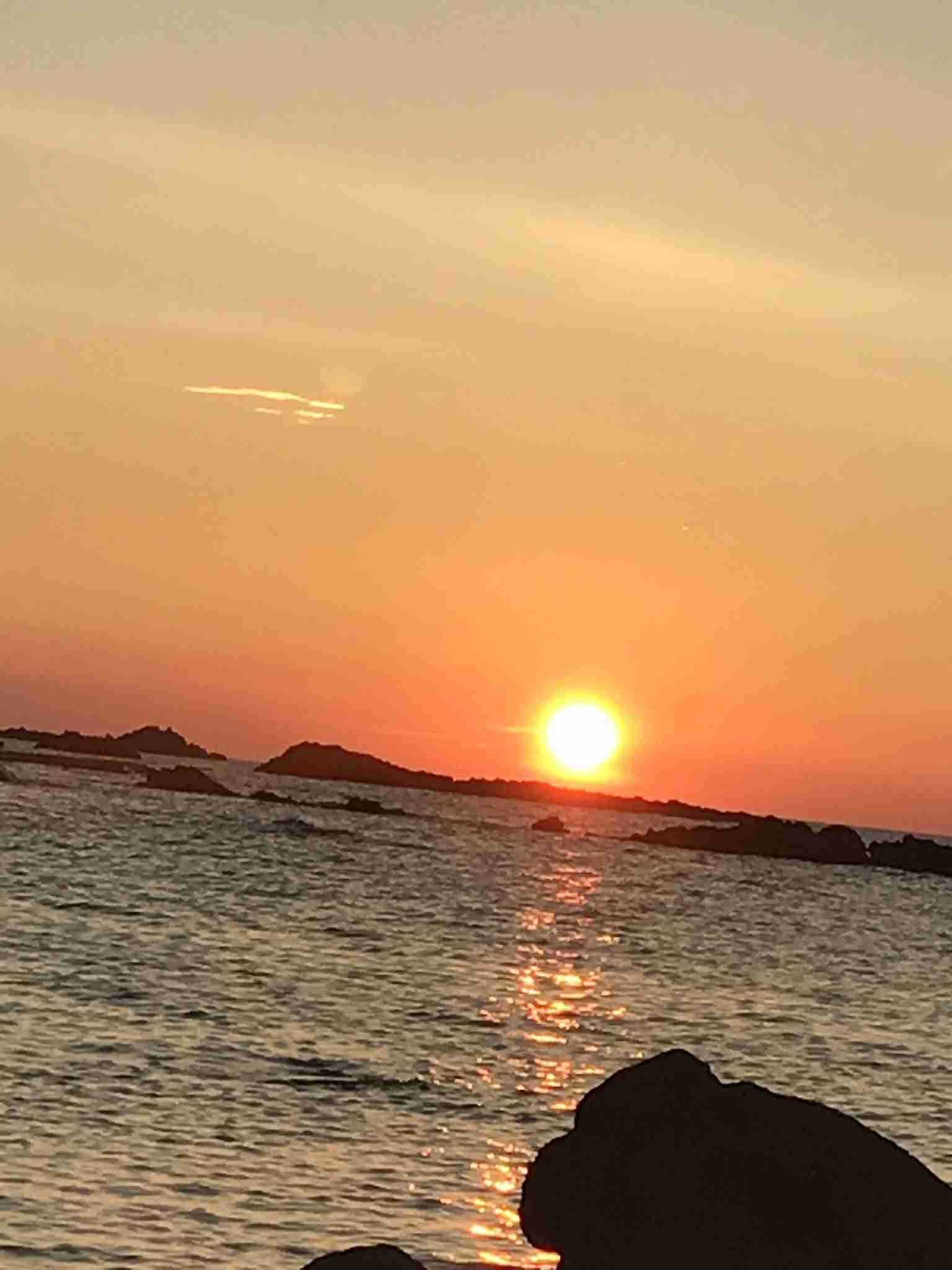 上手に撮れた!お気に入り写真を見せて下さい☆