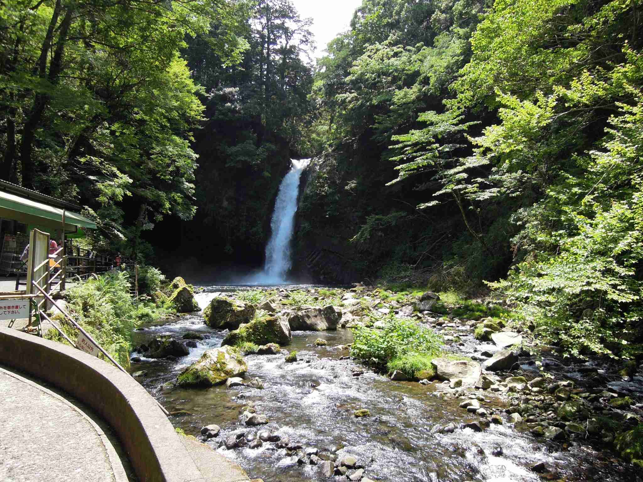 上手に撮れた!お気に入り写真を見せて下さい☆
