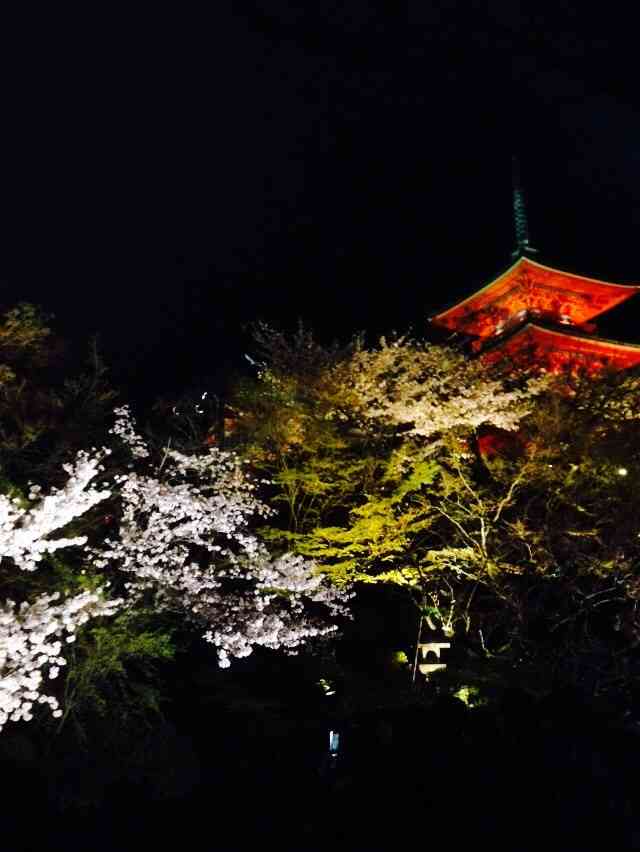 上手に撮れた!お気に入り写真を見せて下さい☆