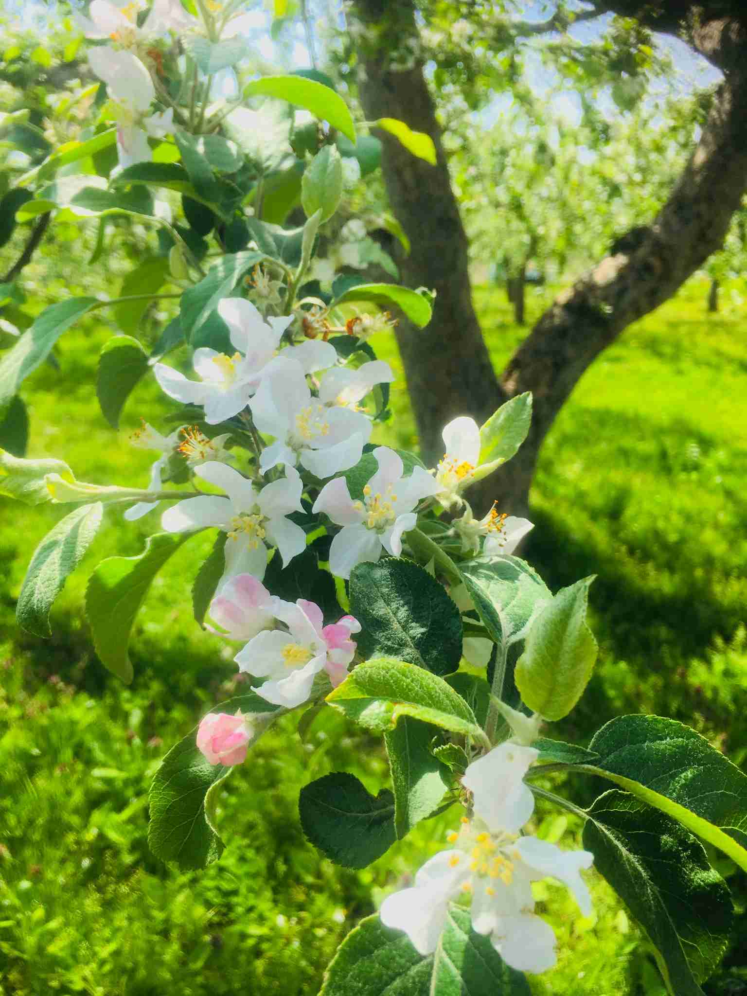 上手に撮れた!お気に入り写真を見せて下さい☆