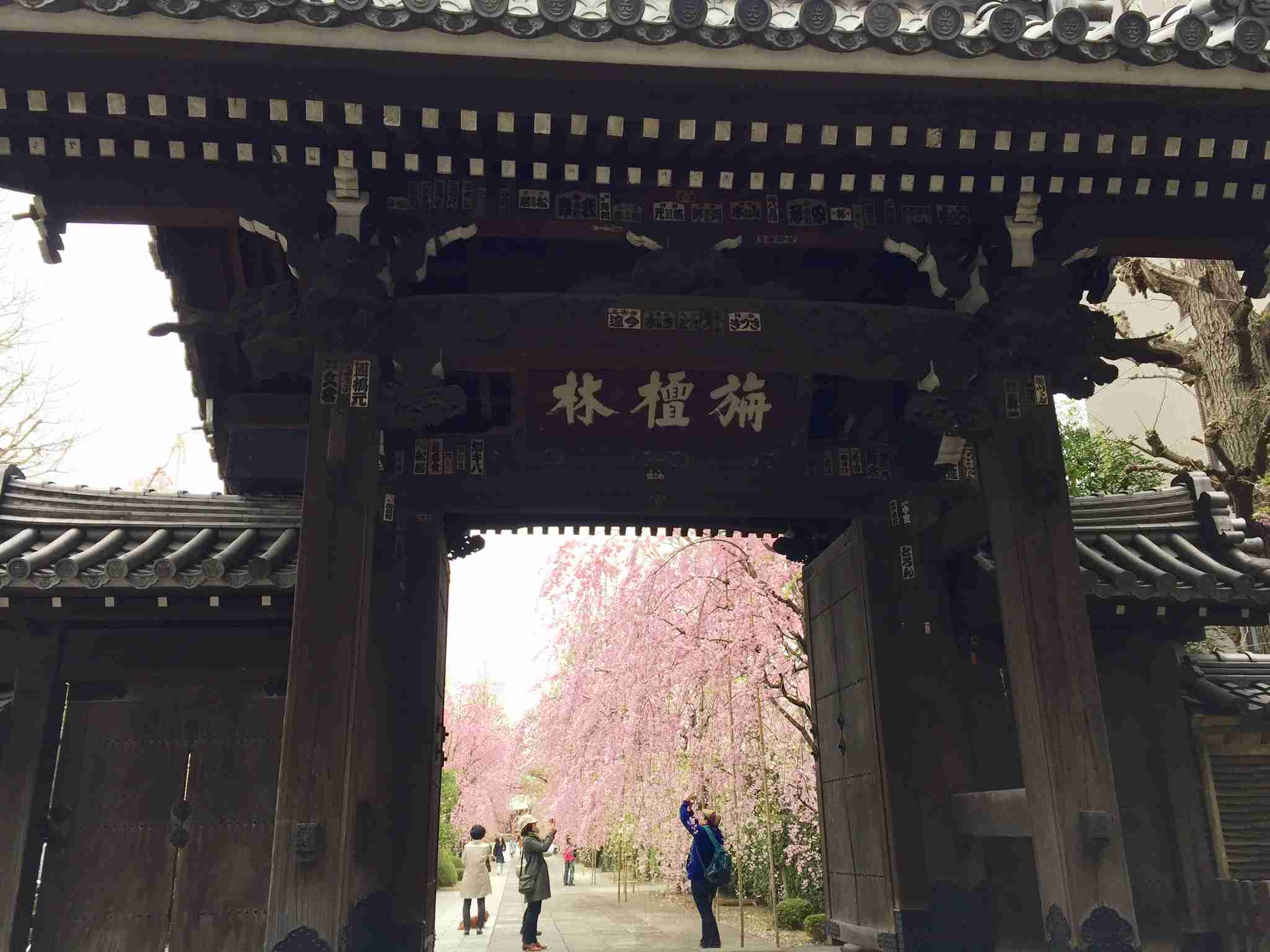 上手に撮れた!お気に入り写真を見せて下さい☆