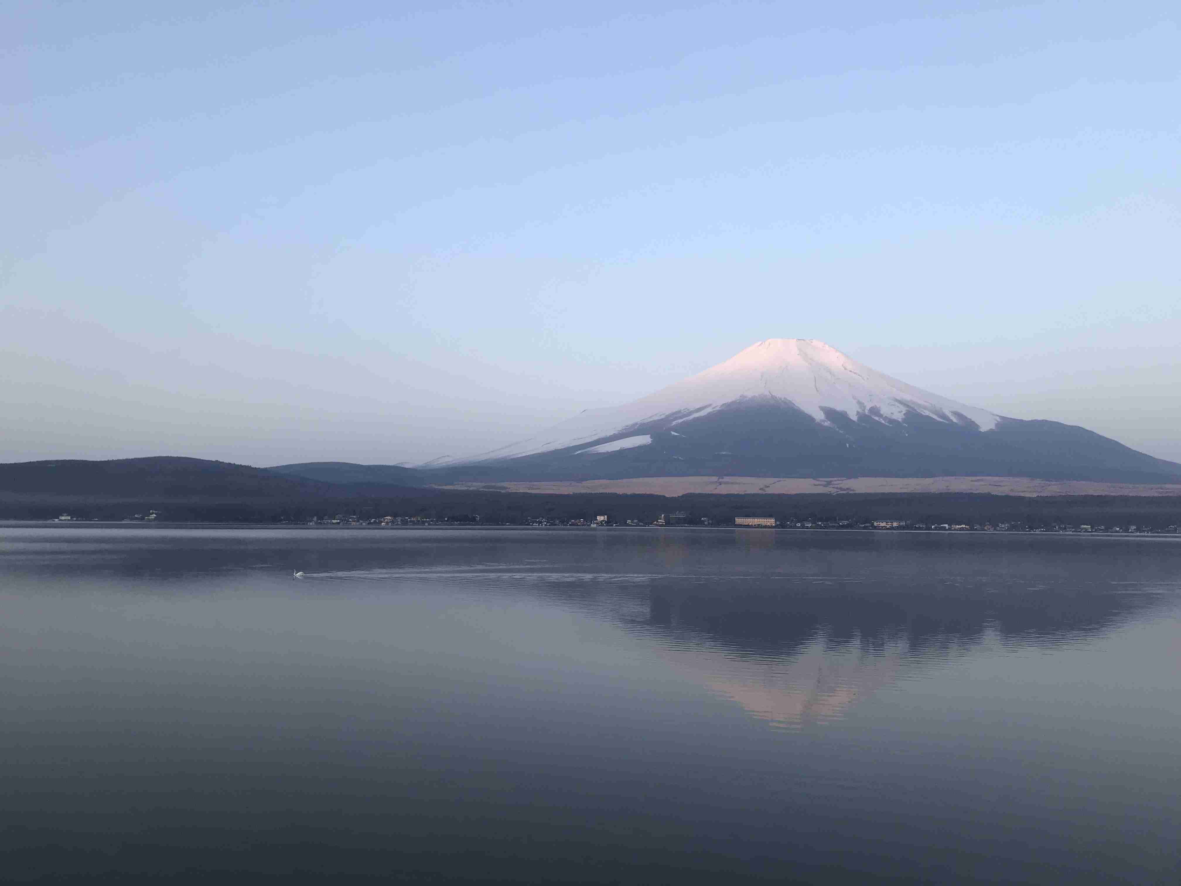 上手に撮れた!お気に入り写真を見せて下さい☆