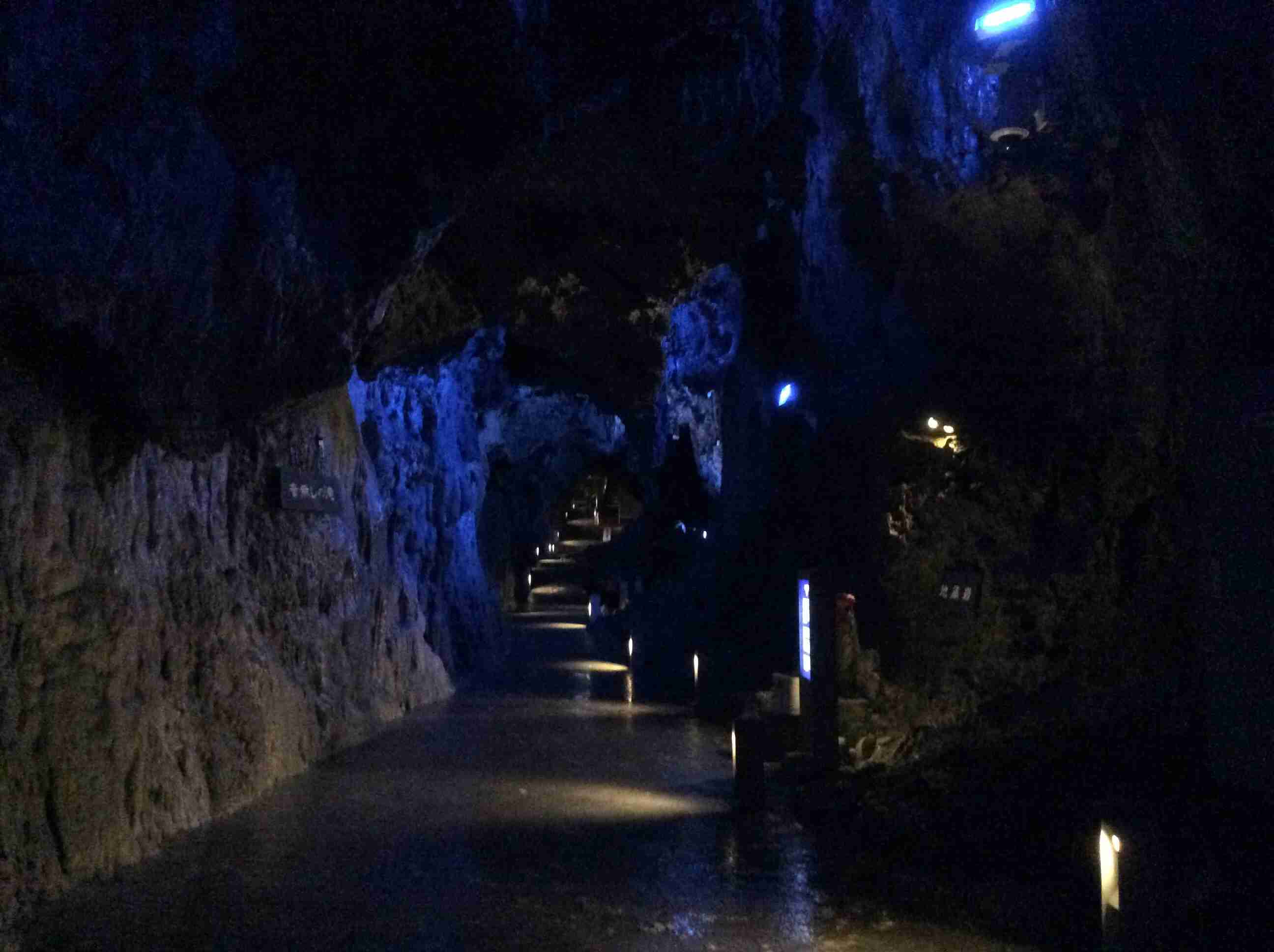 上手に撮れた!お気に入り写真を見せて下さい☆