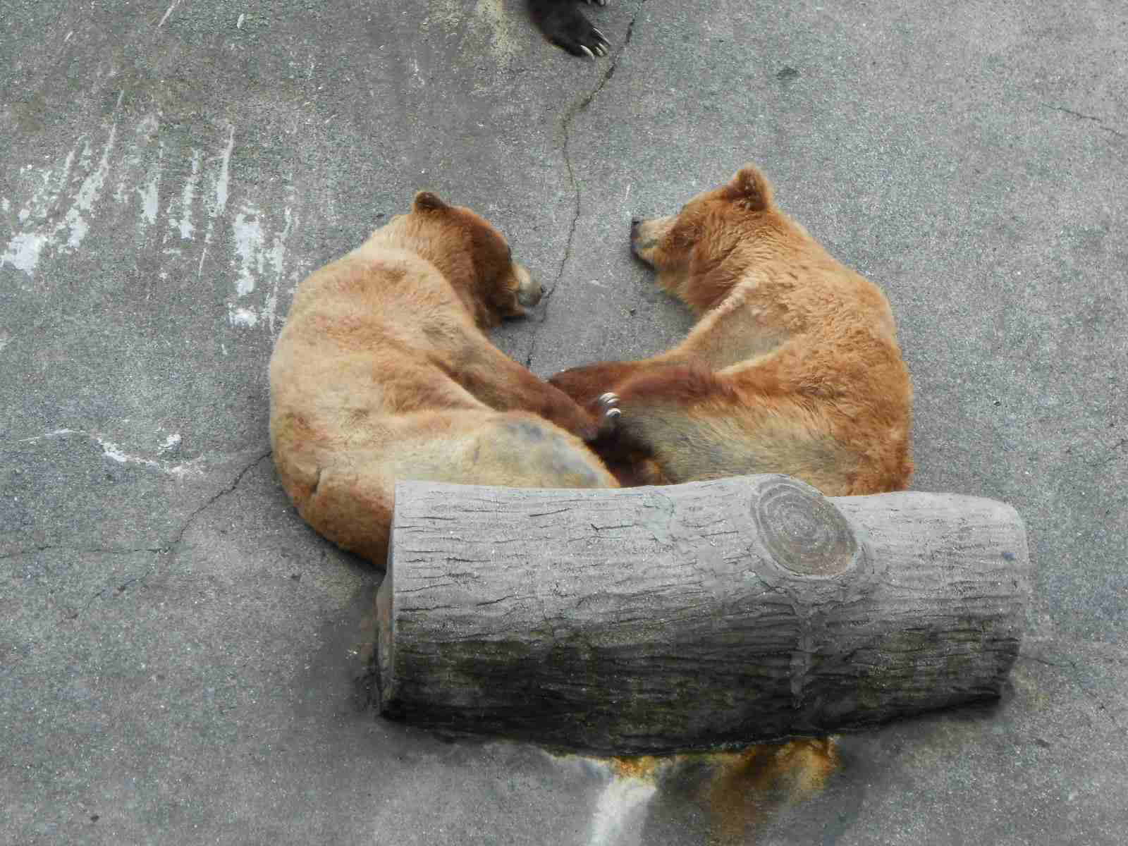 上手に撮れた!お気に入り写真を見せて下さい☆