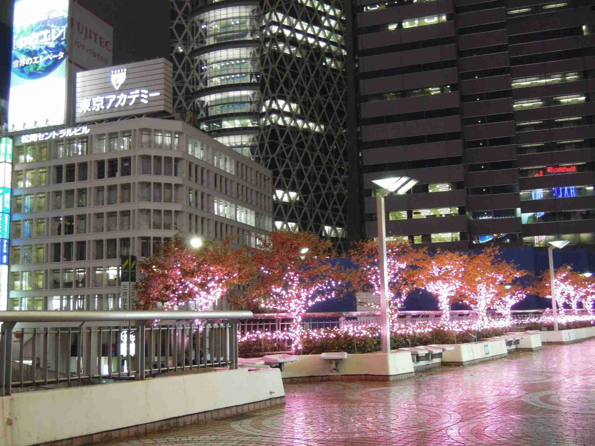 上手に撮れた!お気に入り写真を見せて下さい☆