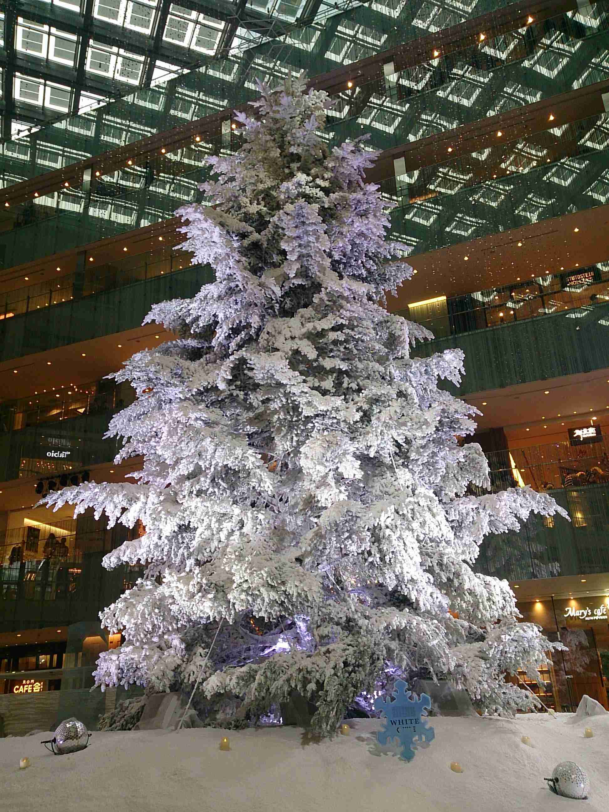 上手に撮れた!お気に入り写真を見せて下さい☆