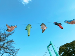 上手に撮れた!お気に入り写真を見せて下さい☆