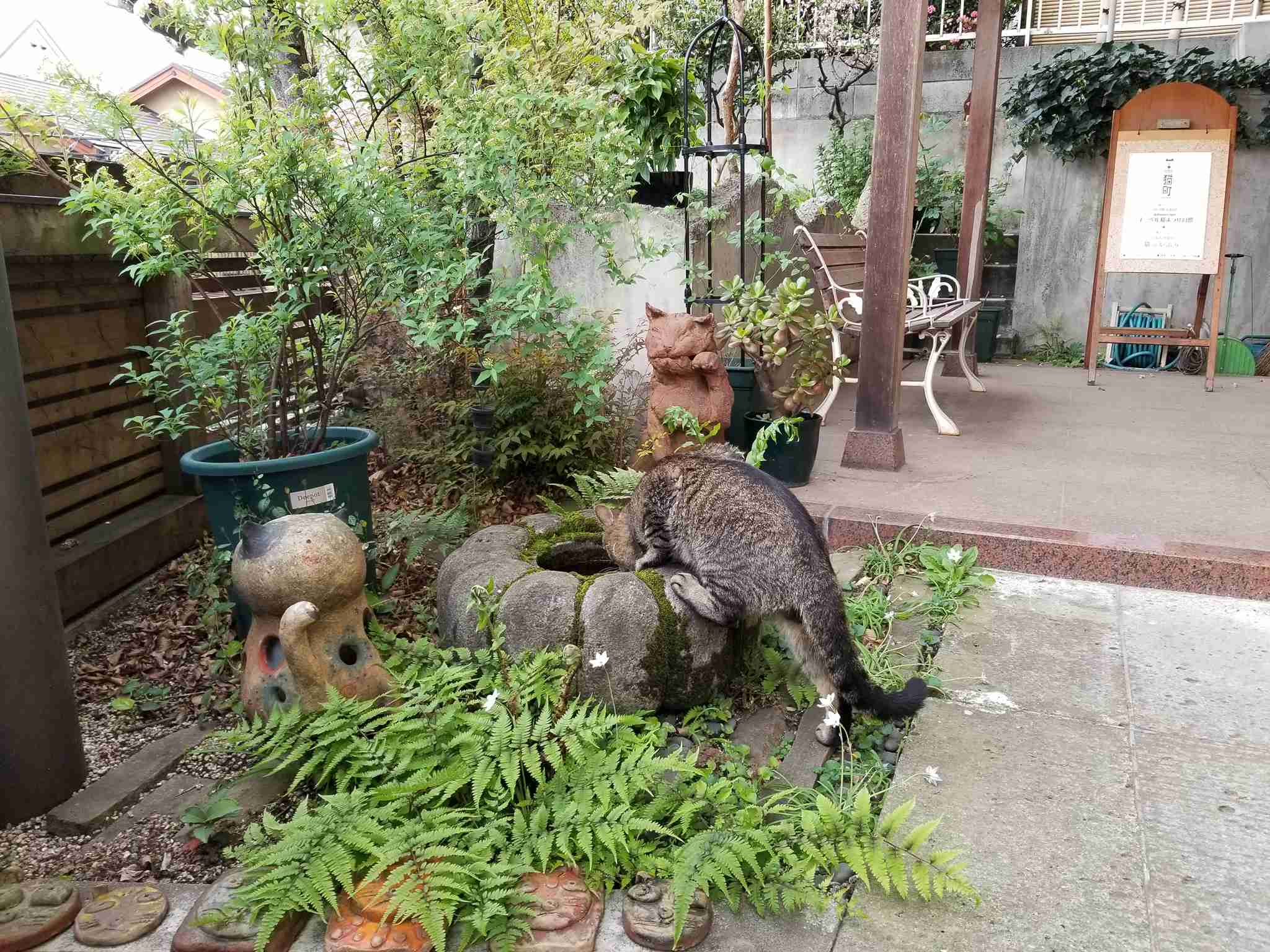 上手に撮れた!お気に入り写真を見せて下さい☆