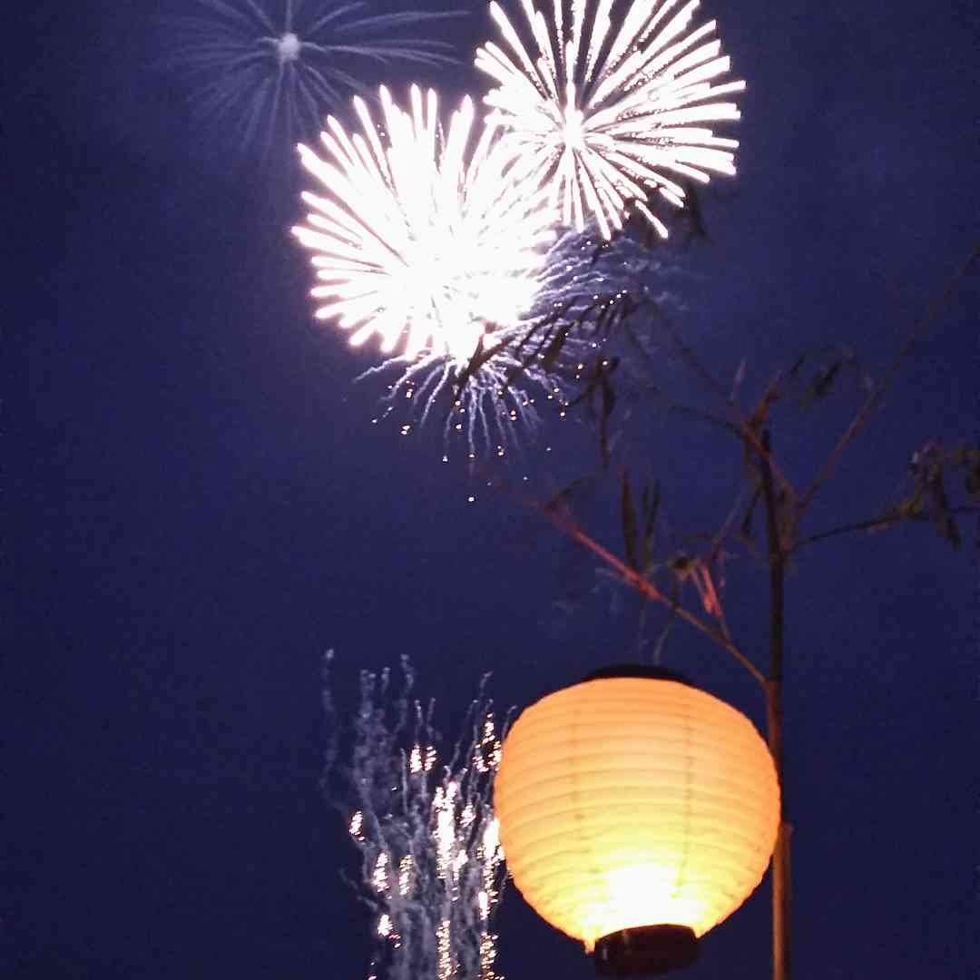 上手に撮れた!お気に入り写真を見せて下さい☆