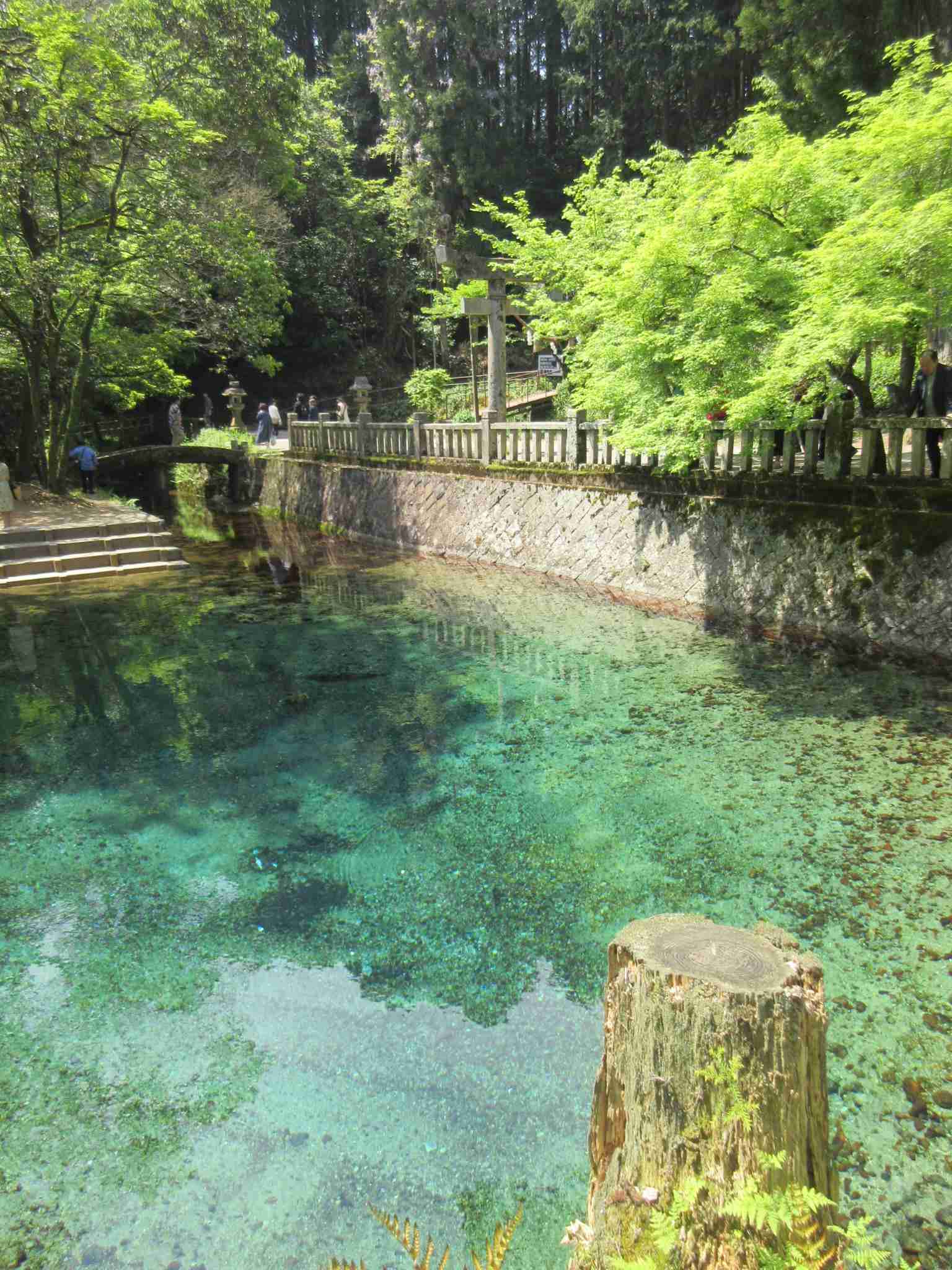 上手に撮れた!お気に入り写真を見せて下さい☆