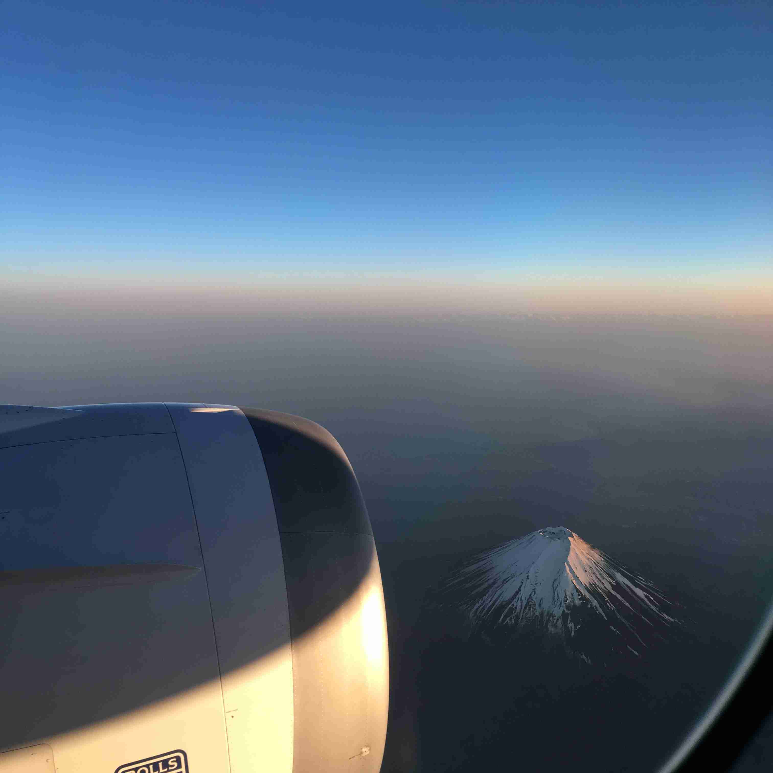 上手に撮れた!お気に入り写真を見せて下さい☆